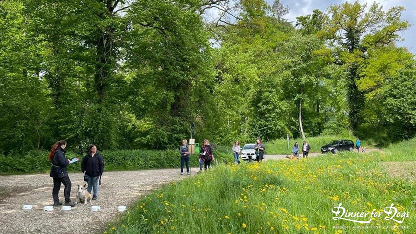 Das Bild zeigt die Dinner for Dogs-Markenbotschafterin Julia Perr auf einem Sportevent
