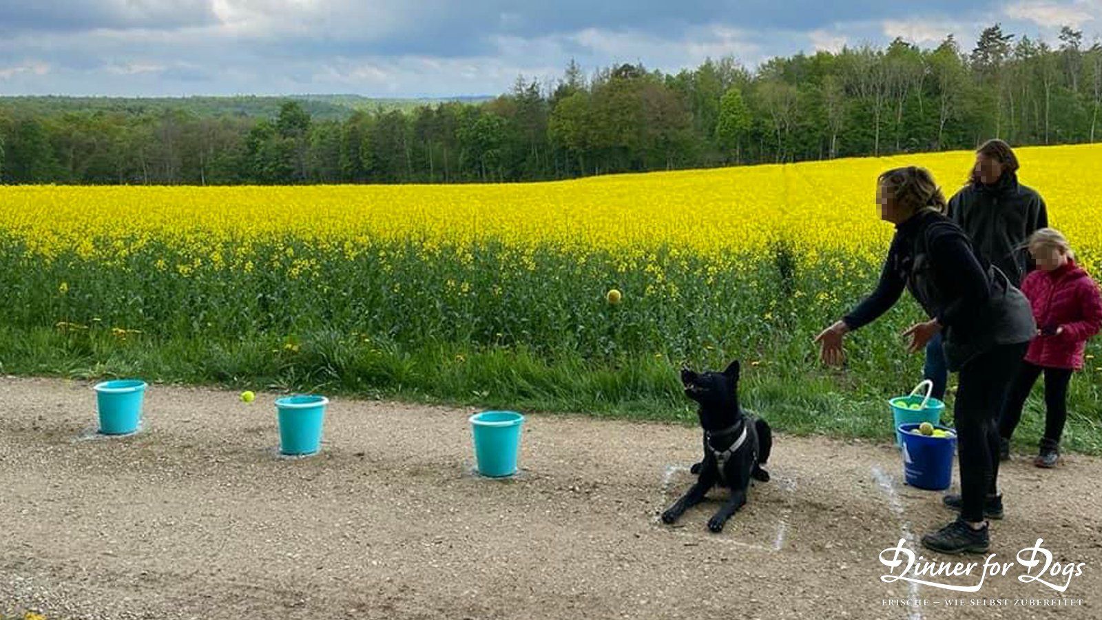 Das Bild zeigt die Dinner for Dogs-Markenbotschafterin Julia Perr auf einem Sportevent