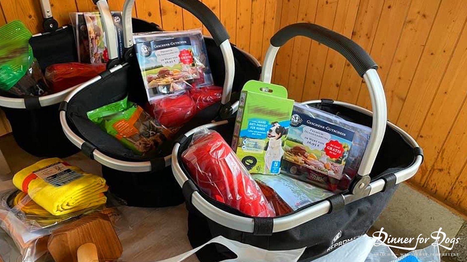 Das Bild zeigt die Dinner for Dogs-Markenbotschafterin Julia Perr auf einem Sportevent