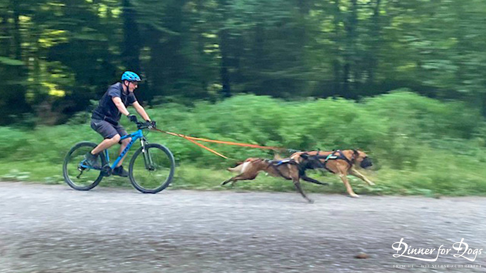 Das Bild zeigt die Dinner for Dogs-Markenbotschafterin Julia Perr auf einem Sportevent