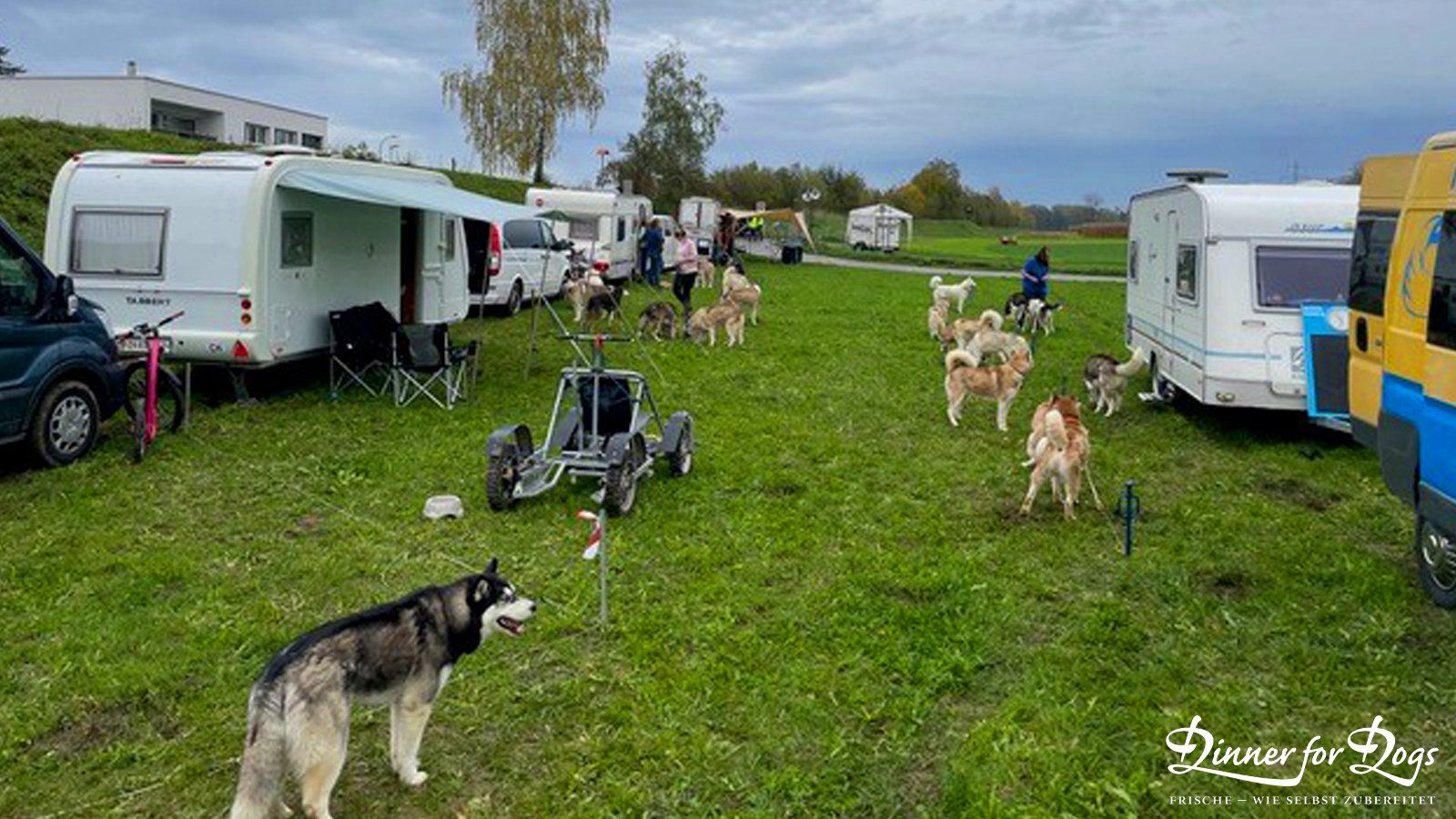 Das Bild zeigt die Dinner for Dogs-Markenbotschafterin Julia Perr auf einem Sportevent