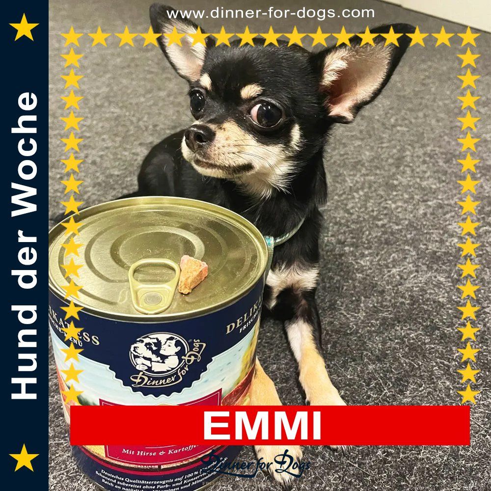 Das Bild zeigt den Hund eines unserer Kunden