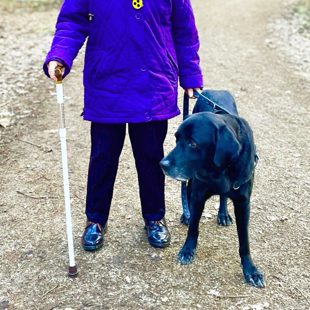 Das Bild zeigt den Hund eines unserer Kunden