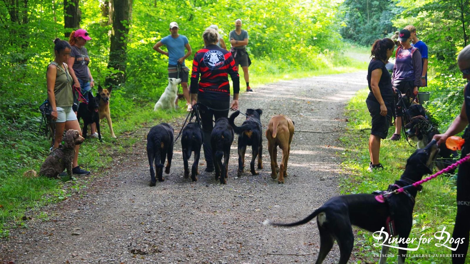 Das Bild zeigt die Dinner for Dogs-Markenbotschafterin Julia Perr auf einem Sportevent