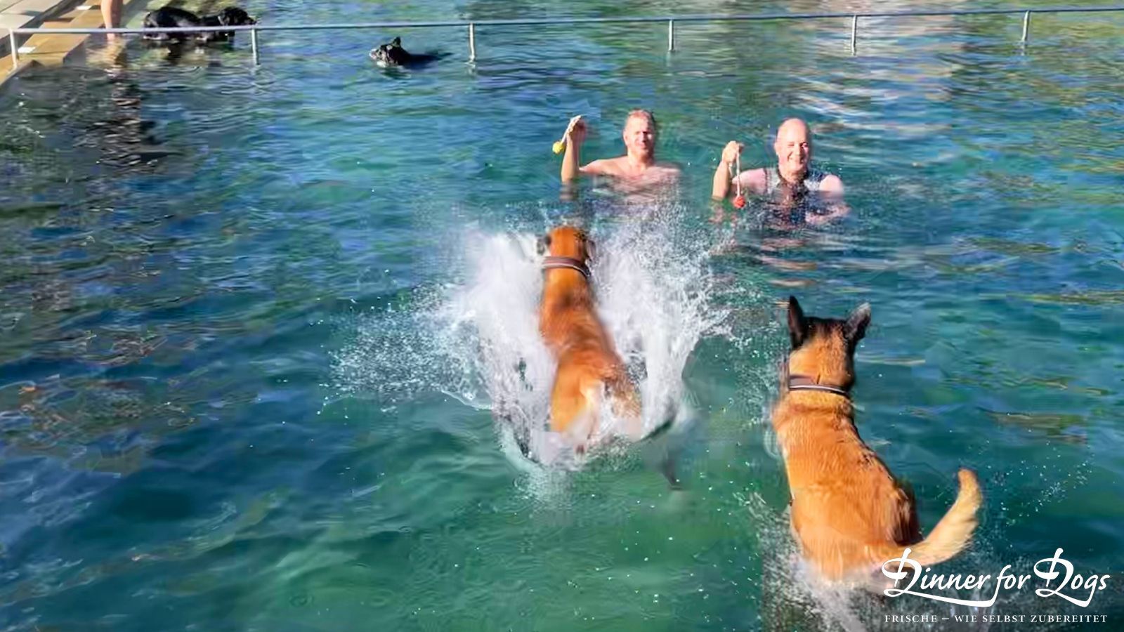 Das Bild zeigt die Dinner for Dogs-Markenbotschafterin Julia Perr auf einem Sportevent