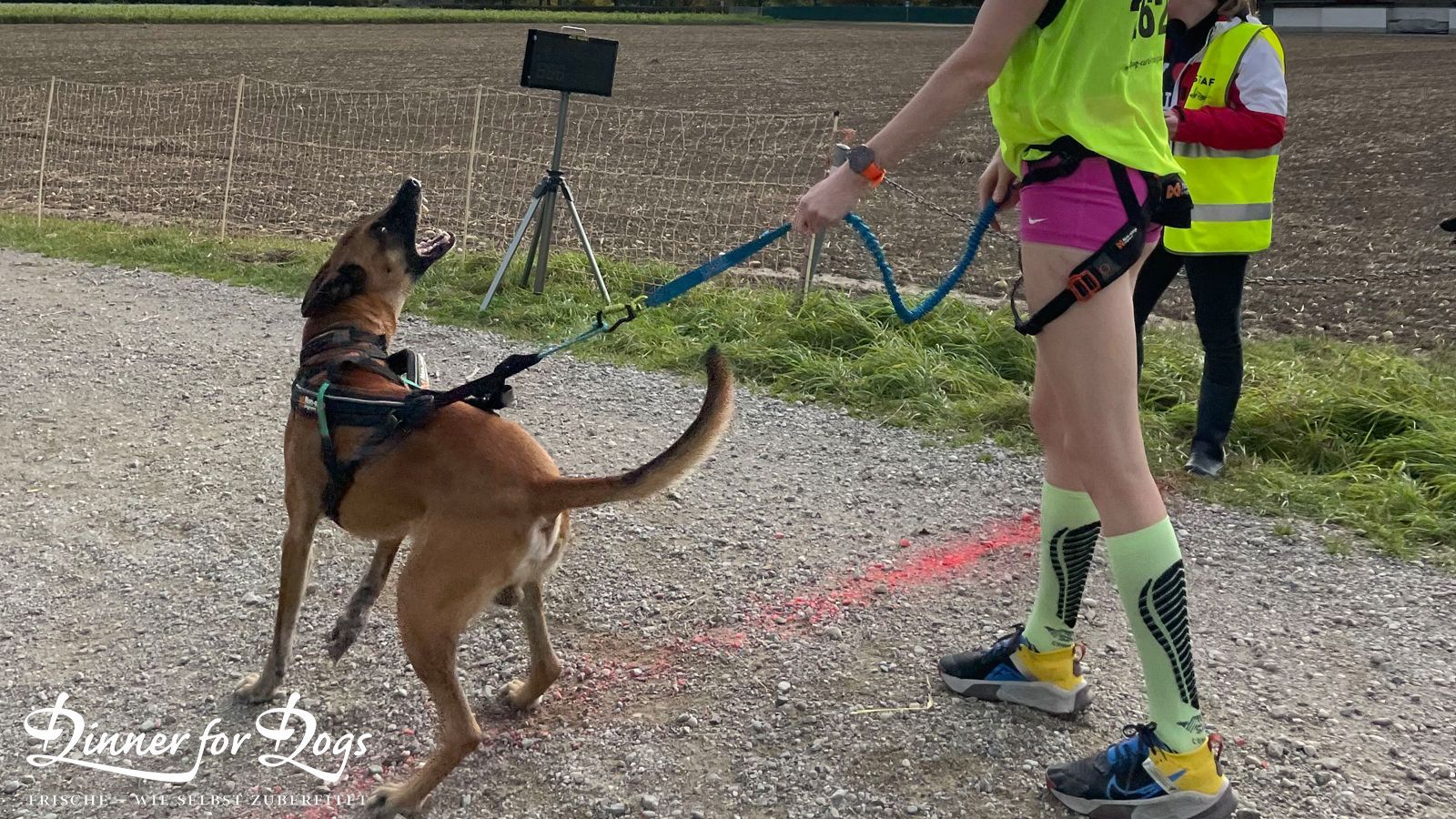 Das Bild zeigt die Dinner for Dogs-Markenbotschafterin Julia Perr auf einem Sportevent
