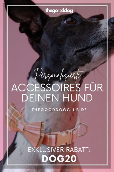Das Bild zeigt das Angebot eines Werbepartners von Dinner for Dogs
