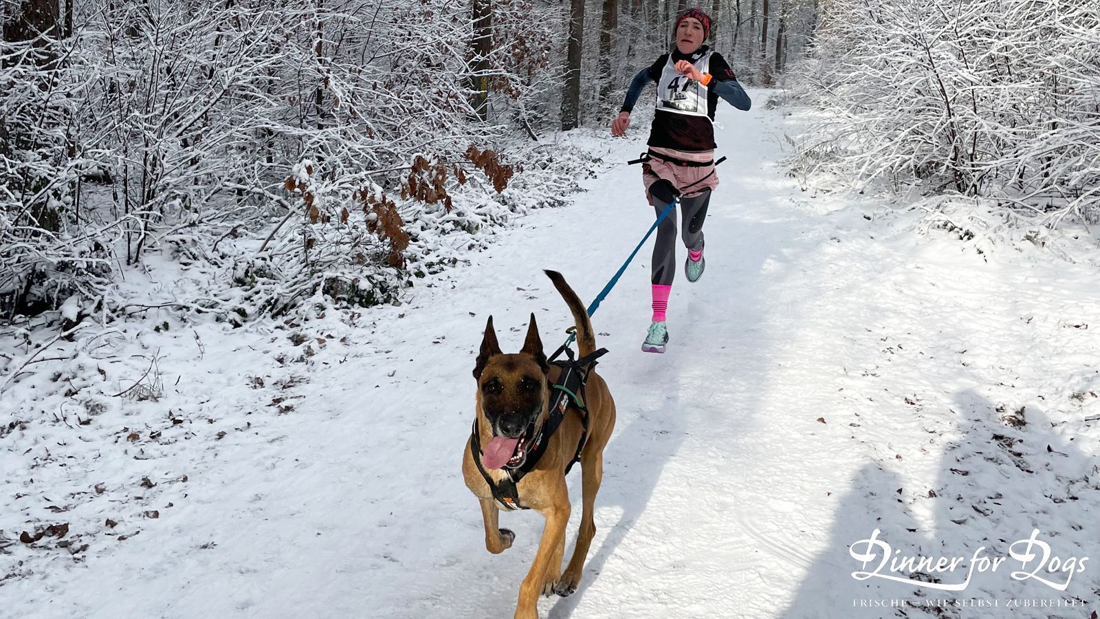 Das Bild zeigt die Dinner for Dogs-Markenbotschafterin Julia Perr auf einem Sportevent