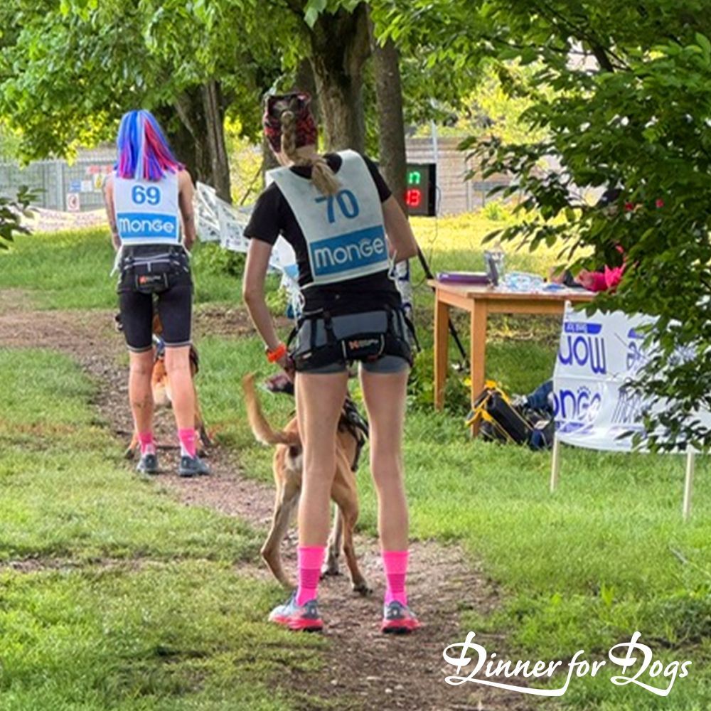 Das Bild zeigt die Dinner for Dogs-Markenbotschafterin Julia Perr auf einem Sportevent