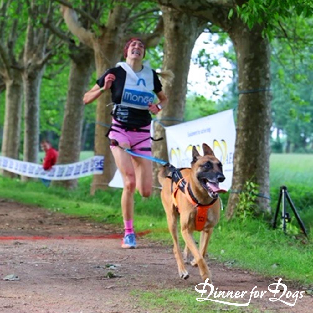 Das Bild zeigt die Dinner for Dogs-Markenbotschafterin Julia Perr auf einem Sportevent