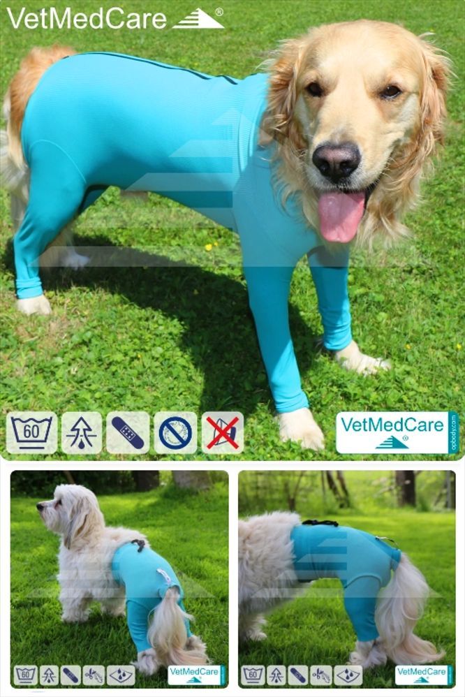 Das Bild zeigt das Angebot eines Werbepartners von Dinner for Dogs