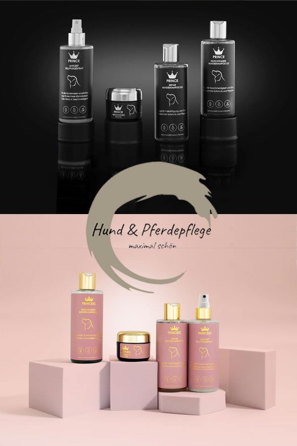 Das Bild zeigt ein Angebot eines Werbepartners von Dinner for Dogs