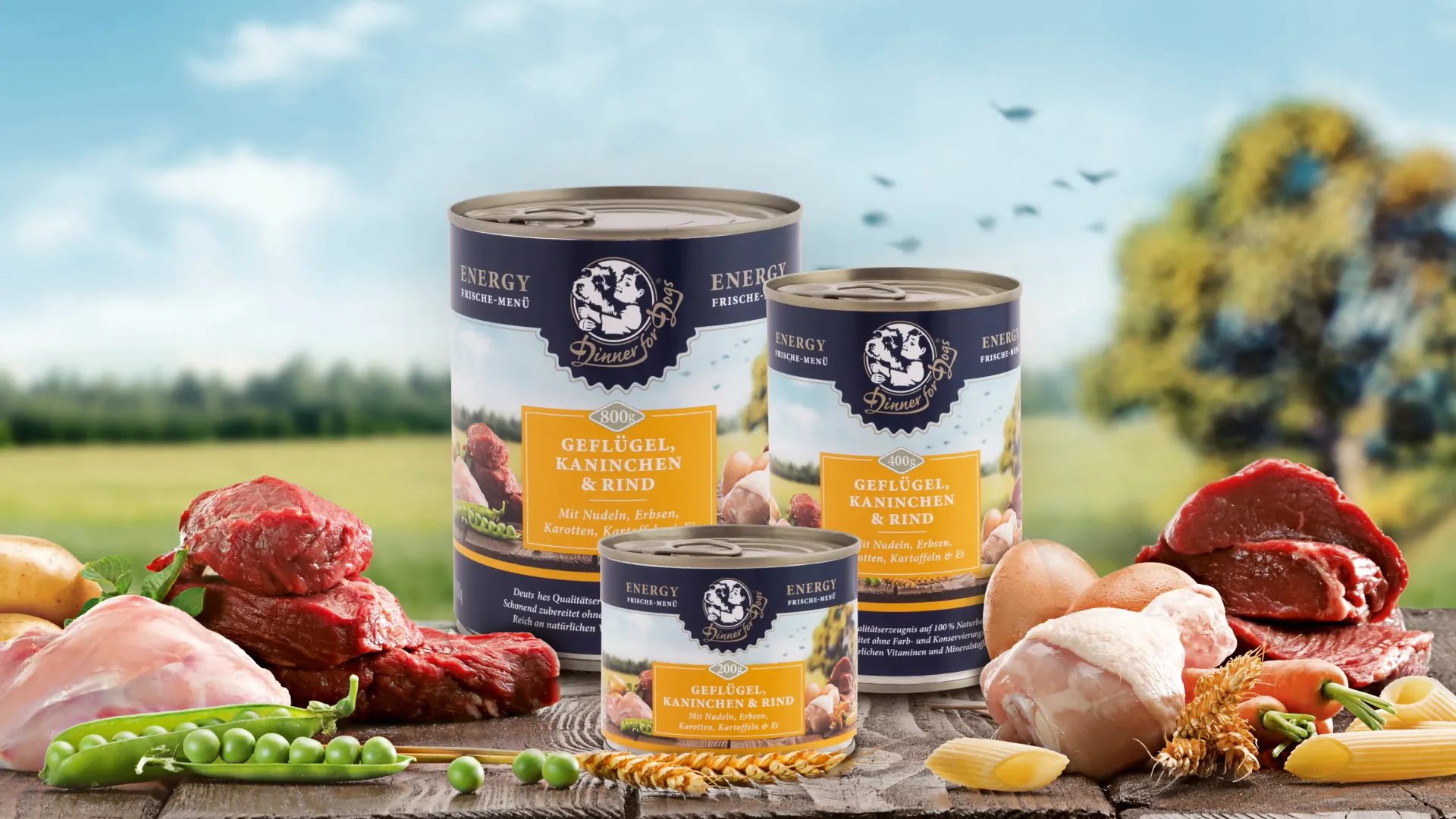 Das Bild zeigt die drei Dosengrößen unserer Frische-Menüs Energy