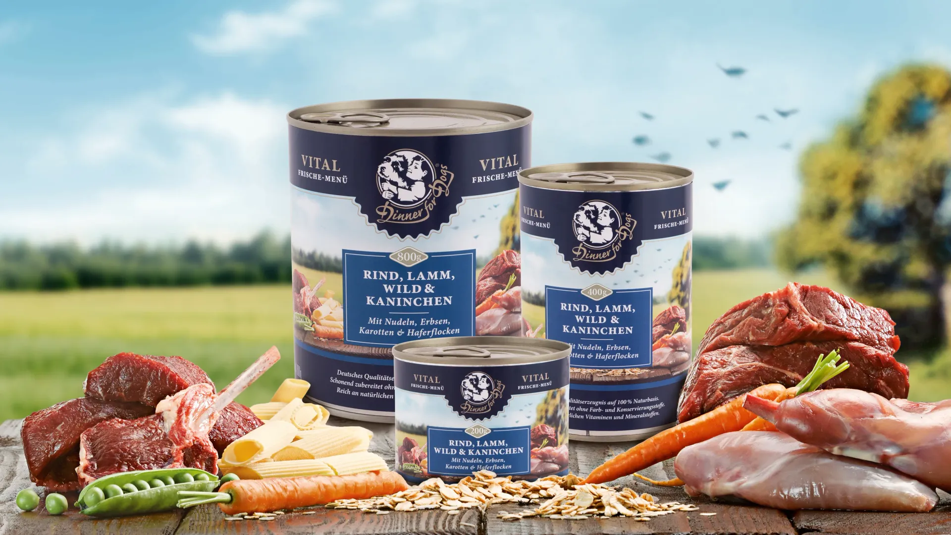 Das Bild zeigt die drei Dosengrößen unserer Frische-Menüs Vital