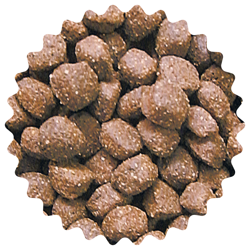 Das Bild zeigt die Kroketten des Trockenfutters