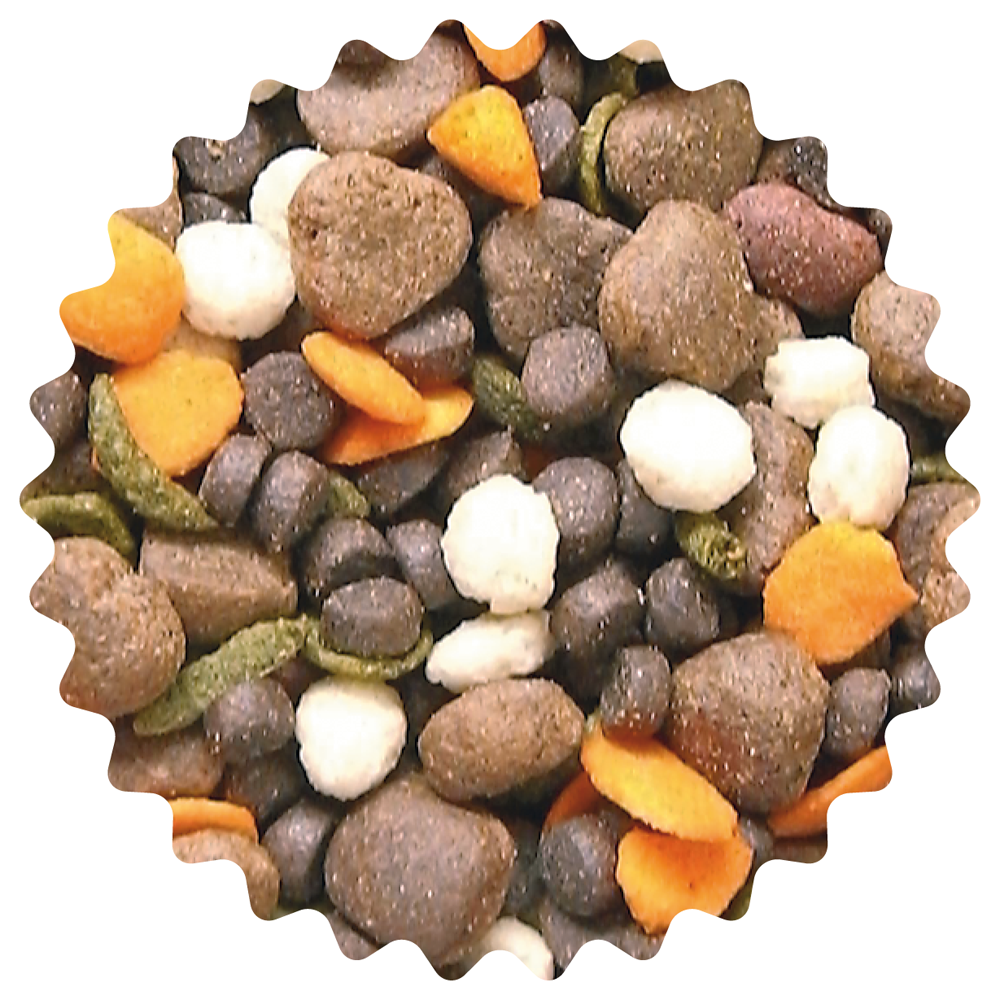 Das Bild zeigt die Kroketten der Dinner for Dogs-Trockennahrung