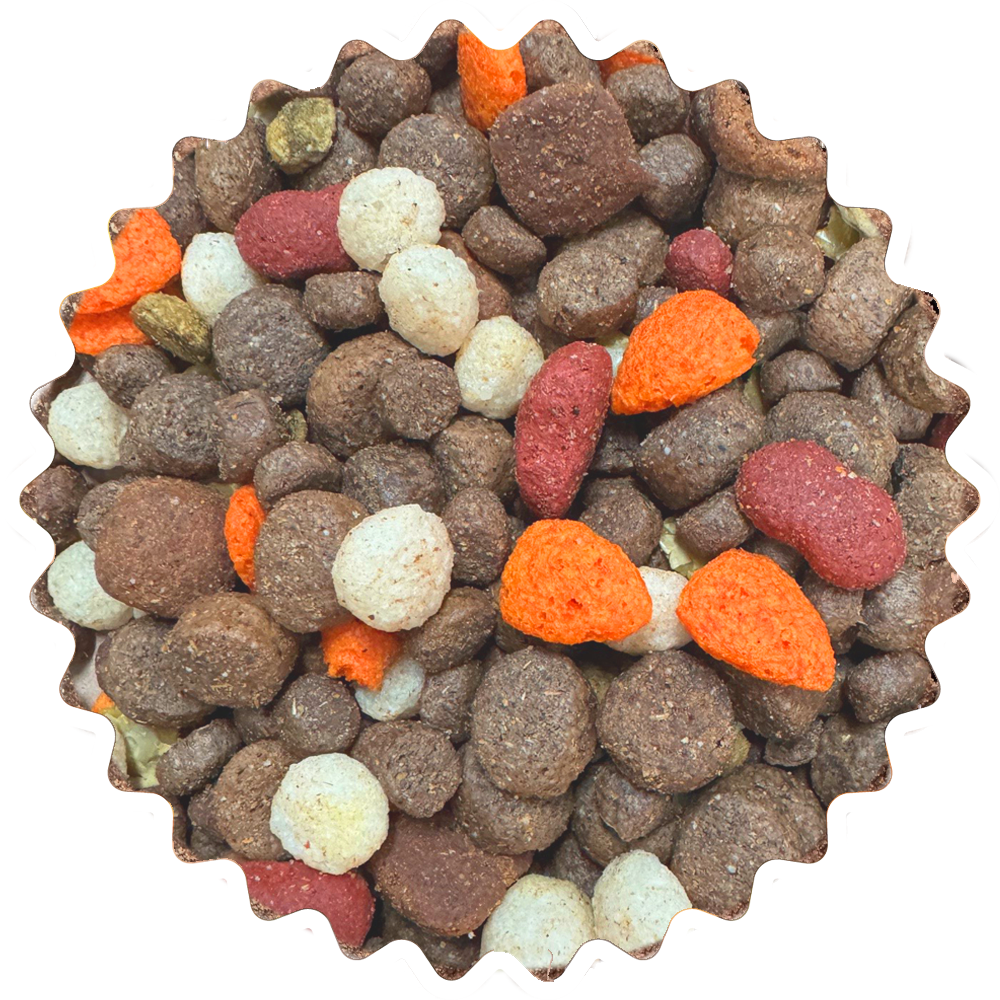 Das Bild zeigt die Kroketten der Dinner for Dogs-Trockennahrung