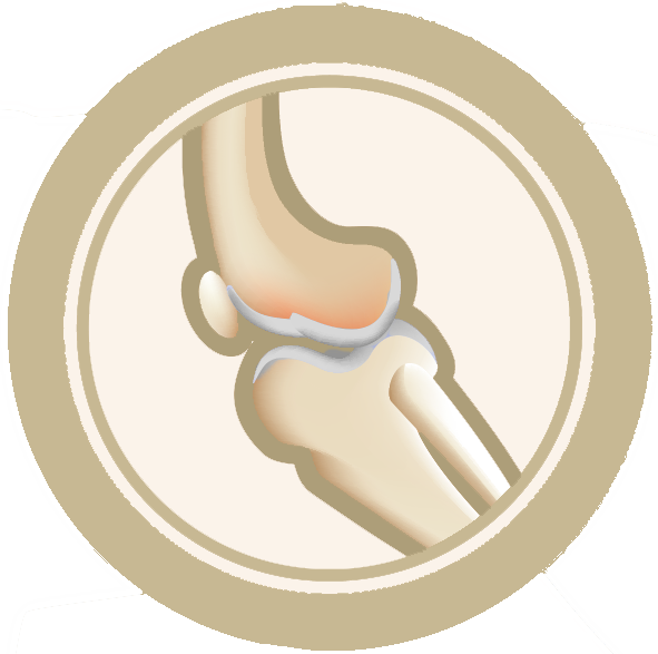 Das Bild zeigt das von Dinner for Dogs verwendete Logo