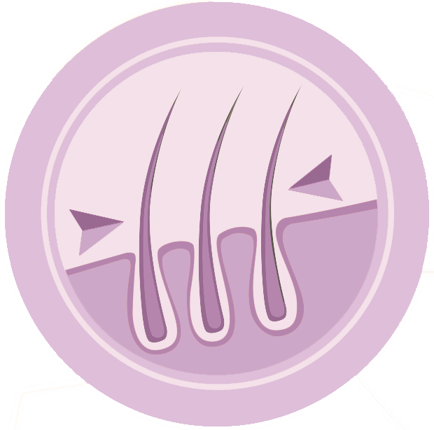 Das Bild zeigt das von Dinner for Dogs verwendete Logo