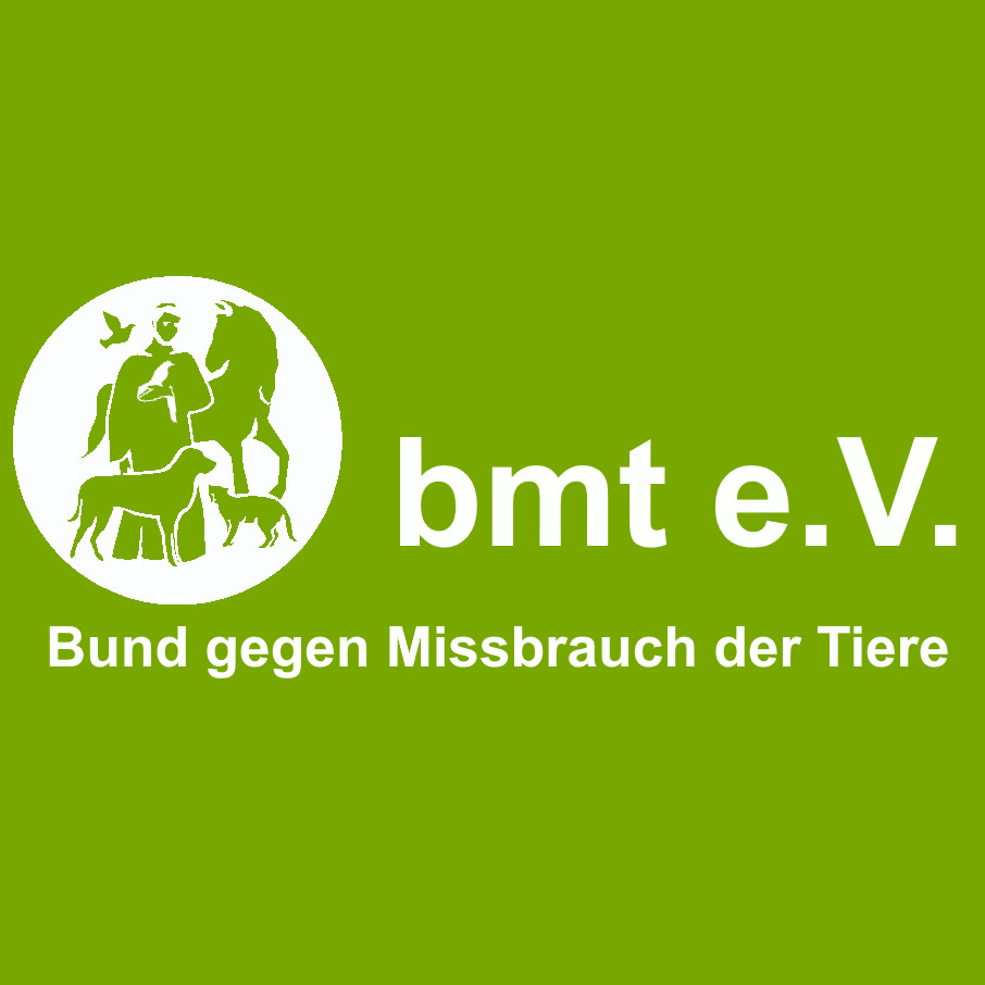Das Bild in der Rubrik Engagement zeigt das Logo einer Partner-Institution