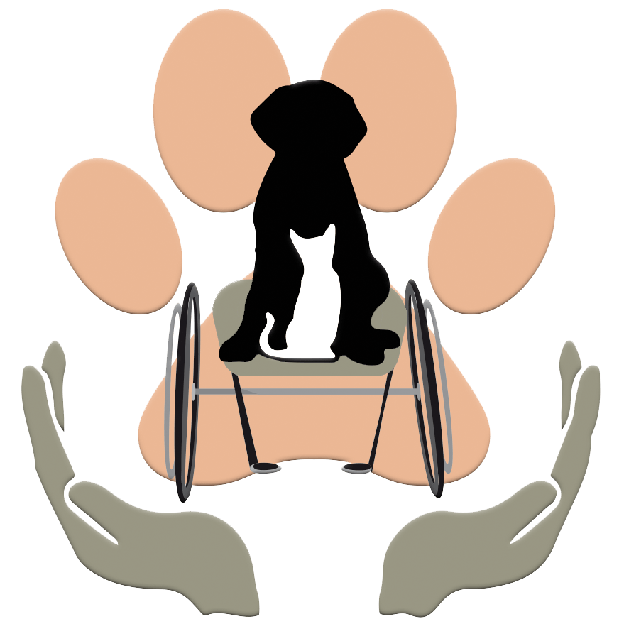 Das Bild in der Rubrik Engagement zeigt das Logo einer Partner-Institution