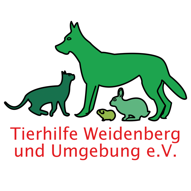 Das Bild in der Rubrik Engagement zeigt das Logo einer Partner-Institution