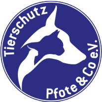 Das Bild in der Rubrik Engagement zeigt das Logo einer Partner-Institution