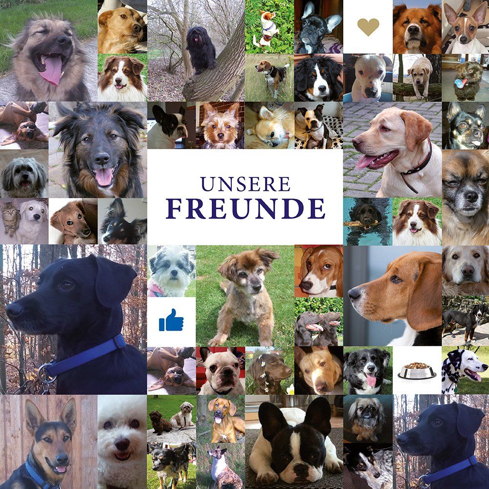 Das Bild zeigt eine Auswahl von Hunden unserer Kunden und den Text Unsere Freunde