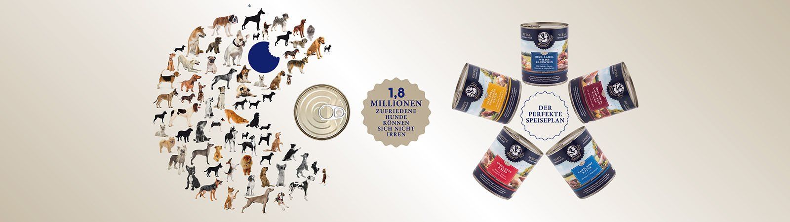 Das Bild zeigt eine Vielzahl verschiedener Hunde