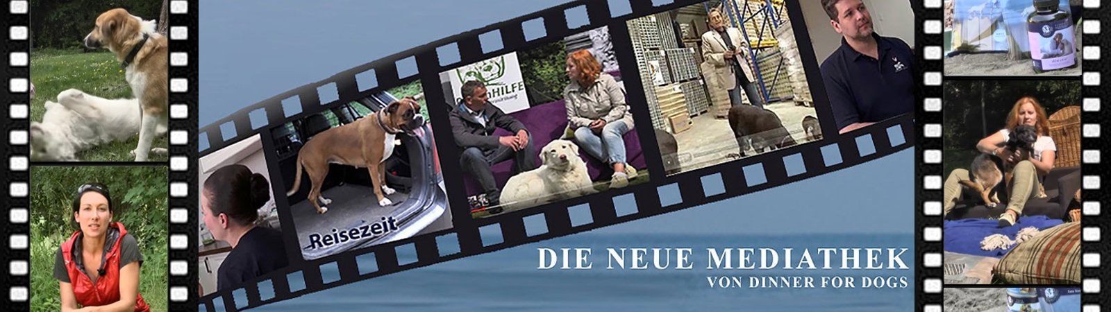 Das Bild zeigt einen Filmstreifen als Headerbild unserer Rubik Mediathek