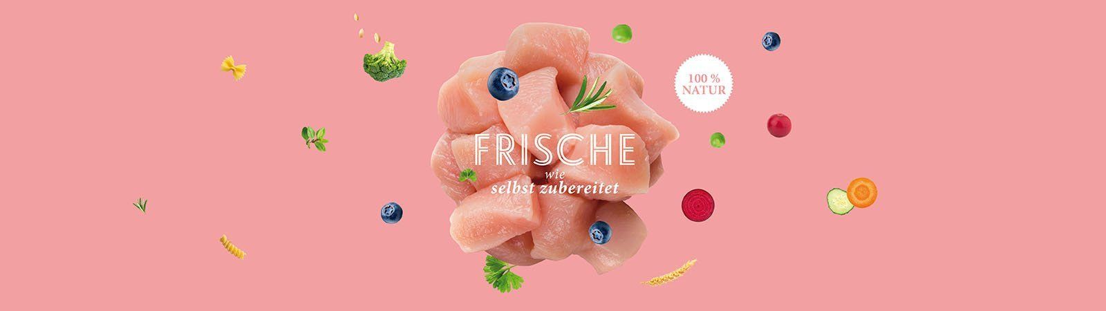 Das Bild zeigt verschiedene Zerejalien