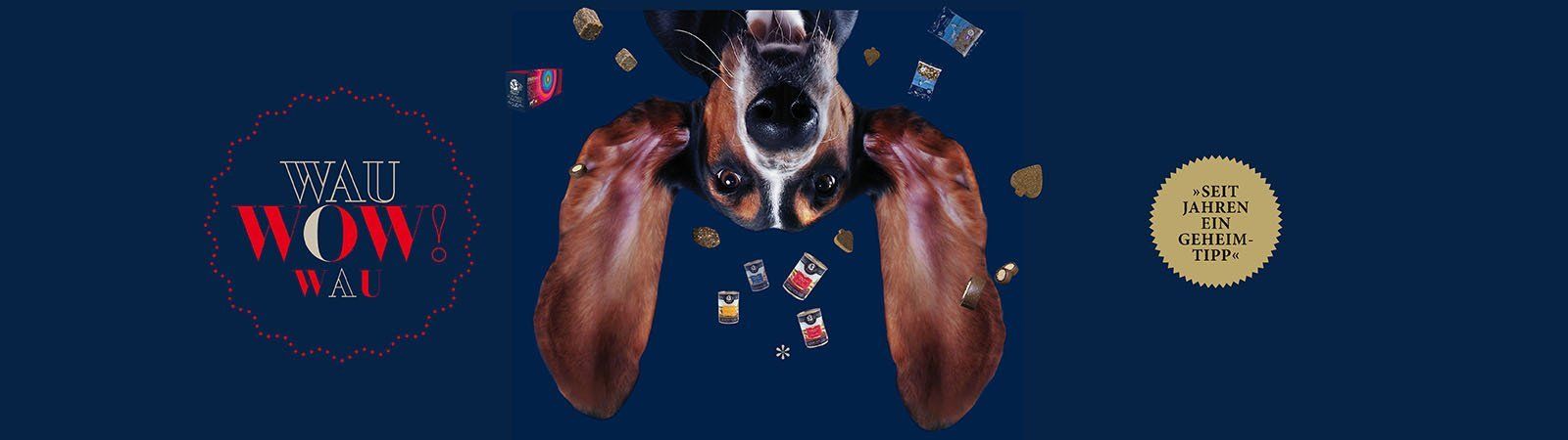 Das Bild zeigt einen Hund mit den Frische-Menüs von Dinner for Dogs