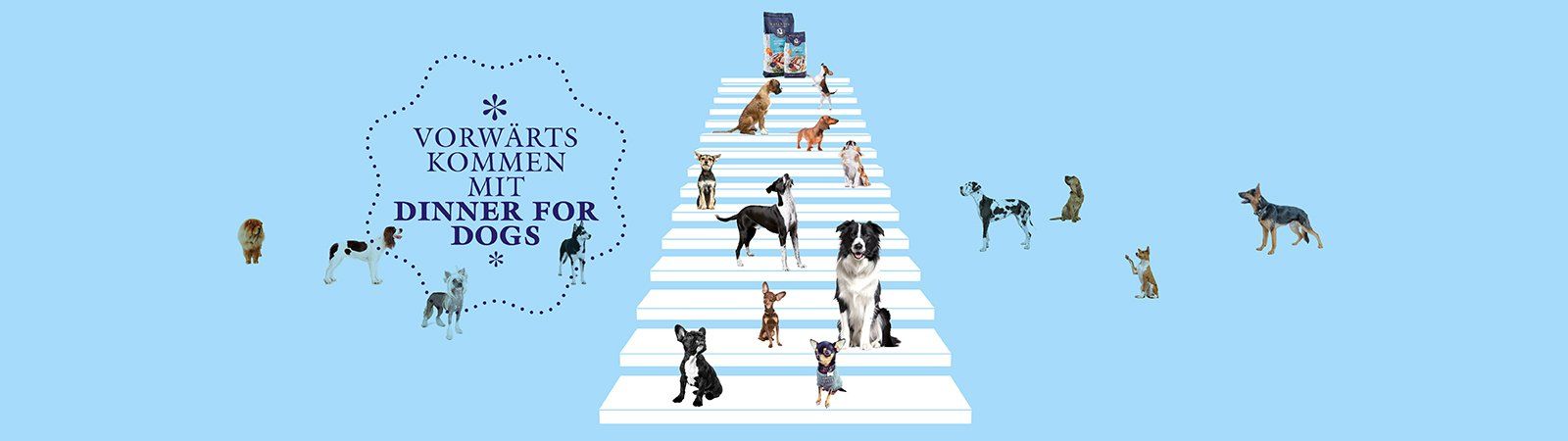 Das Bild zeigt verschiedene Hunde und den Text