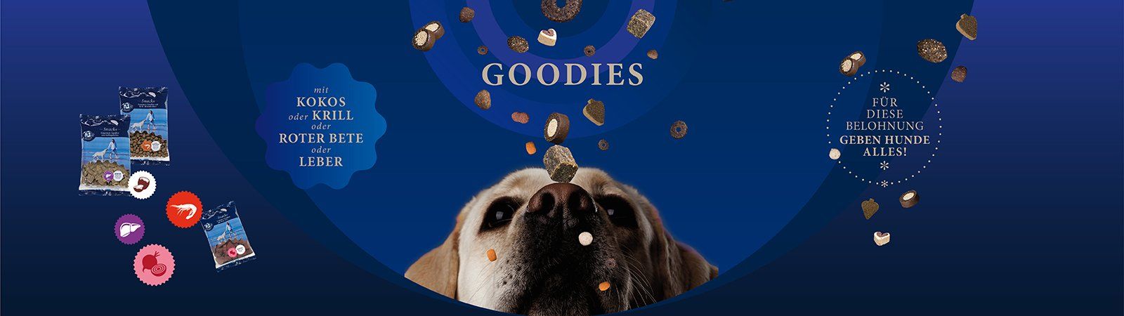 Das Bild zeigt einen Hund und Leckerlis