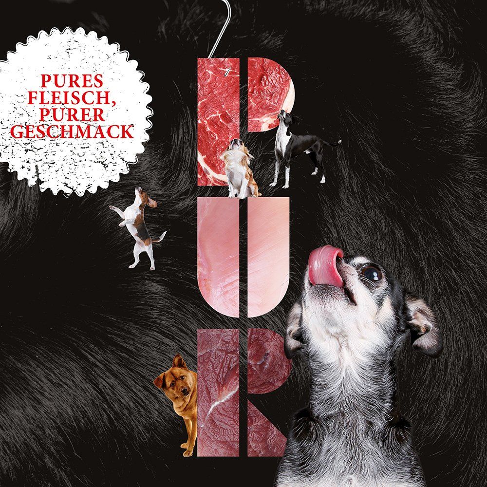 Das Bild zeigt Hunde und den Text