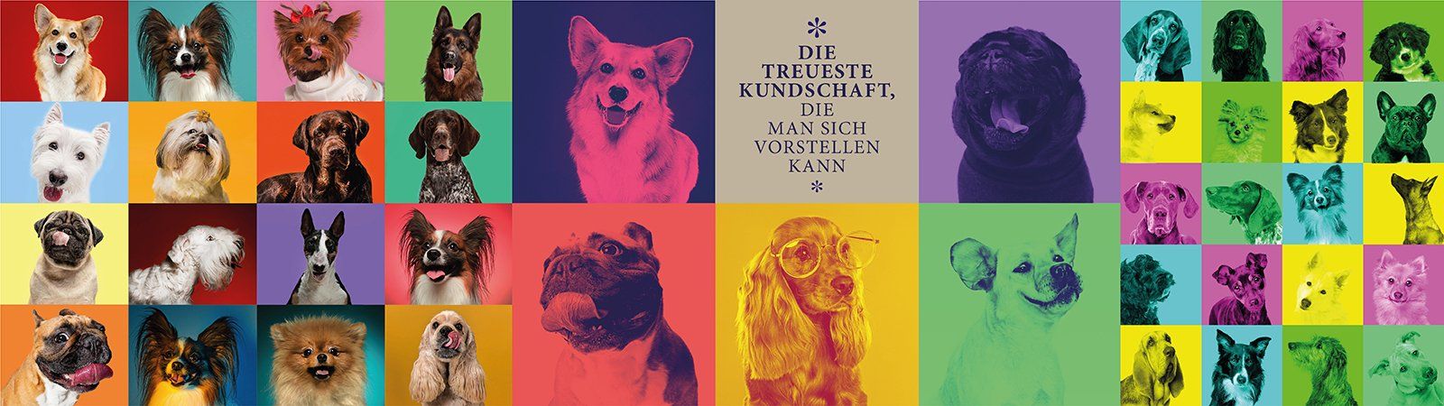 Das Bild zeigt verschiedene Hunde und den Text Die treueste Kundschaft