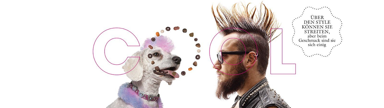 Das Bild zeigt einen Mann mit seinem kleinen Hund