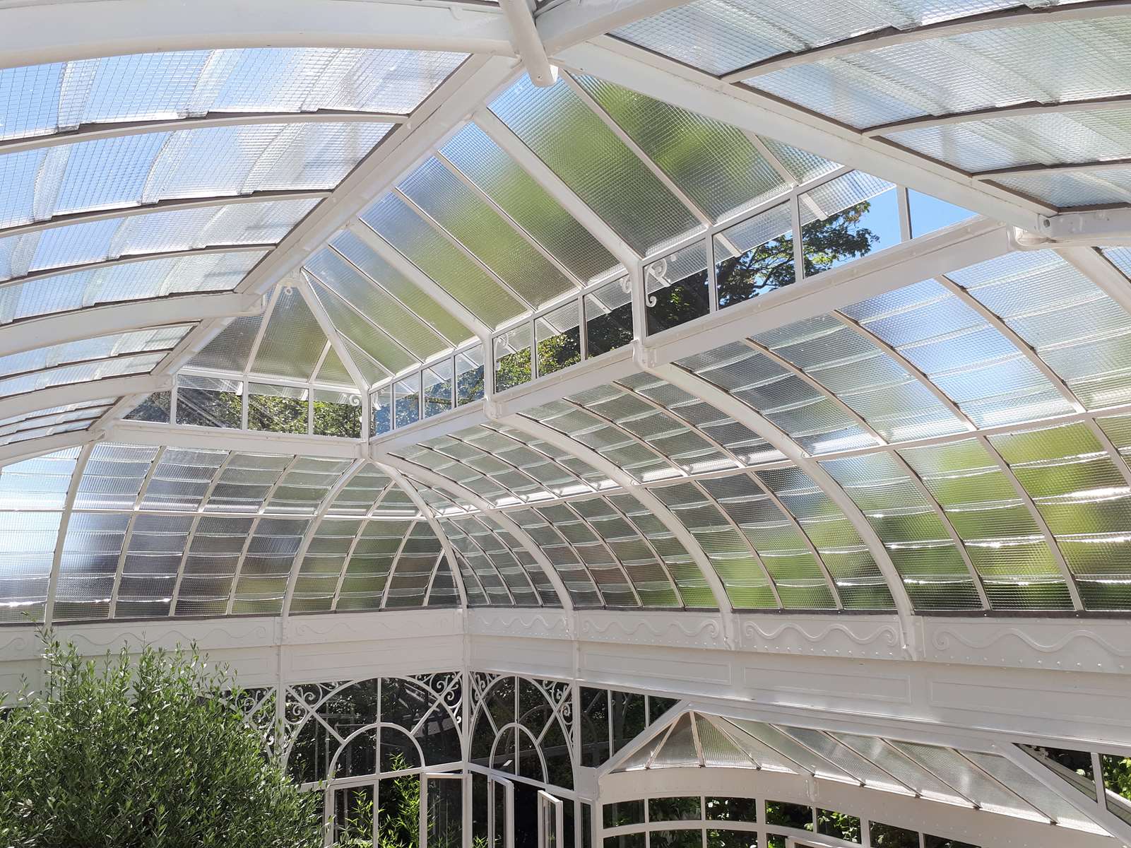 serre ancienne - jardin d'hiver - dôme