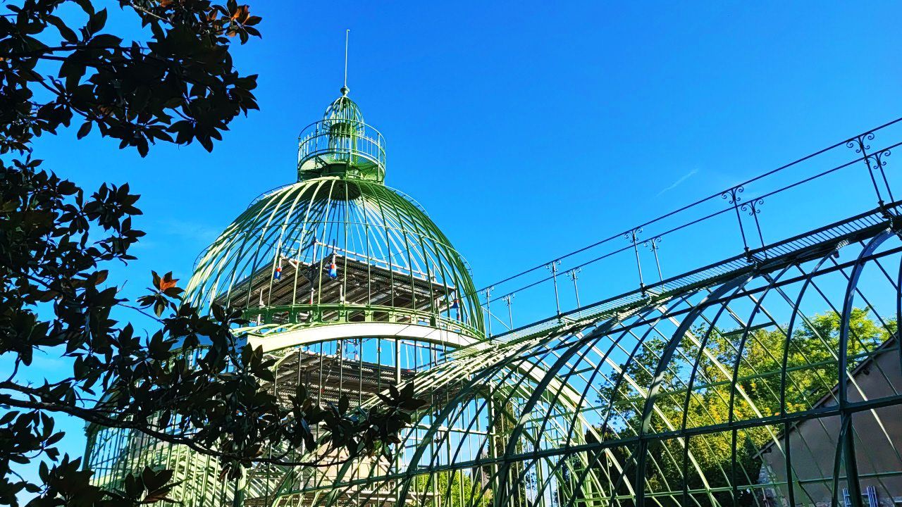 Serre du château de Savoye, Villabon (18) Serre du château de Savoye, Villabon (18)