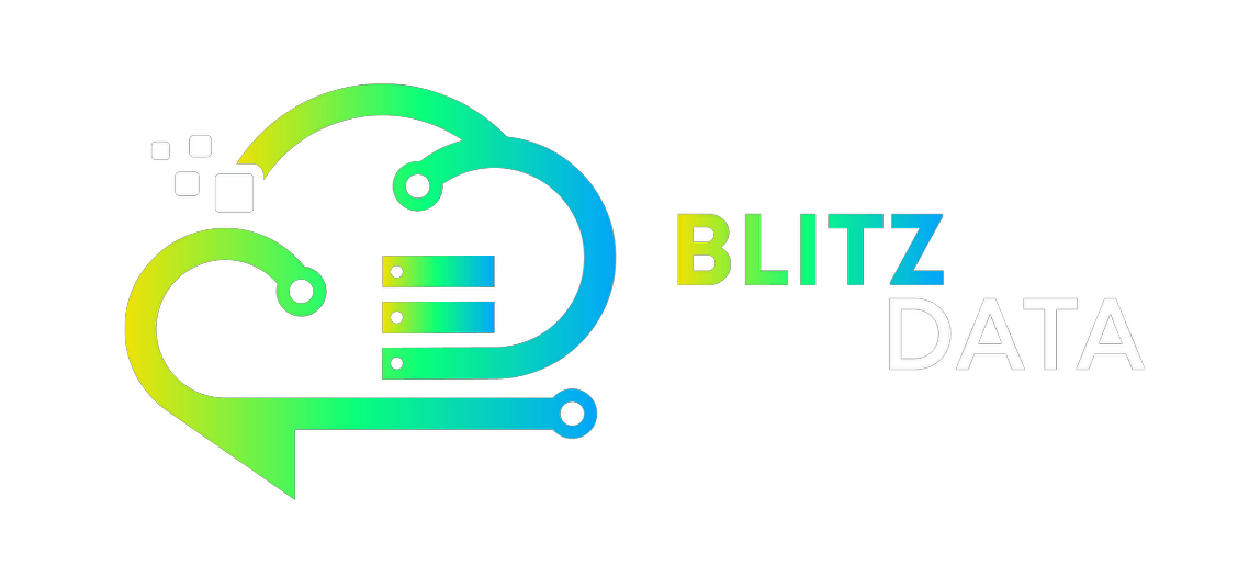 Blitzdata Logo to Home Page