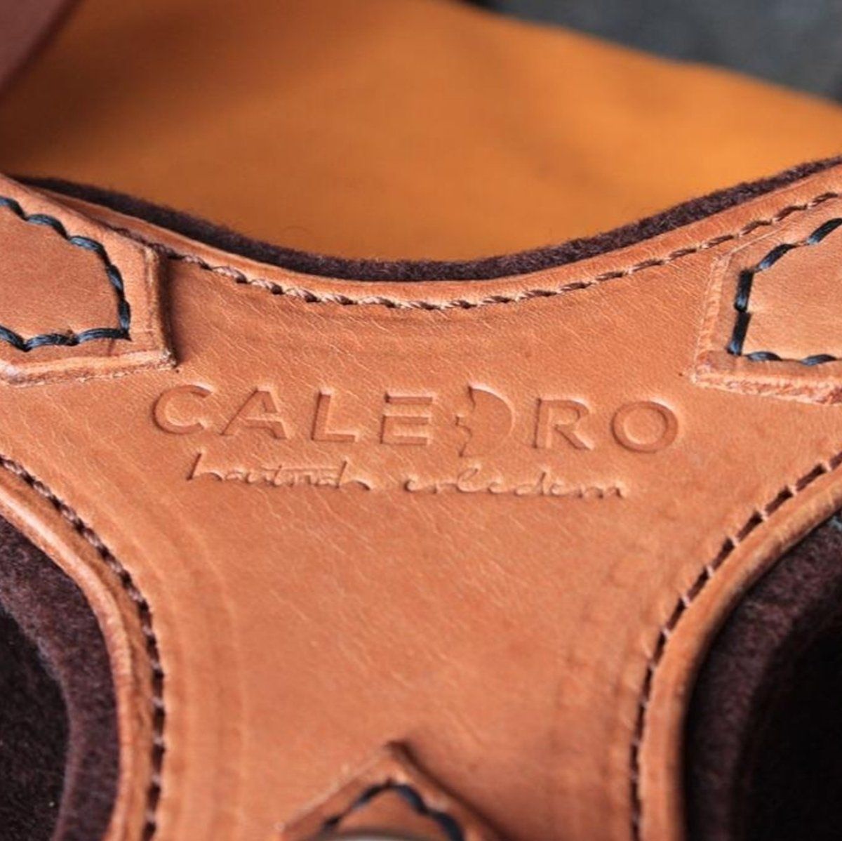 Ausschnitt eines Hundegeschirres