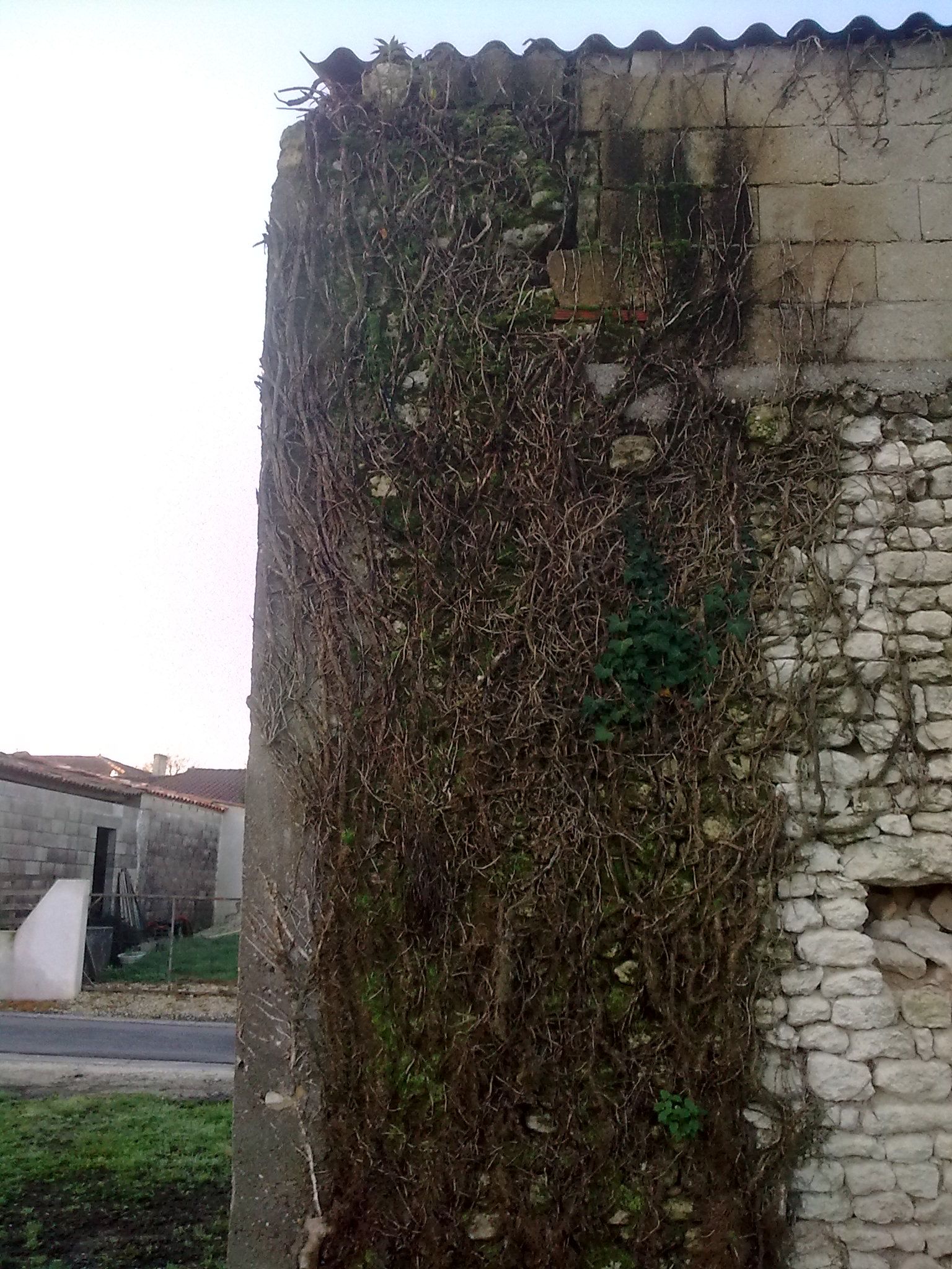 côté bâtisse avant travaux