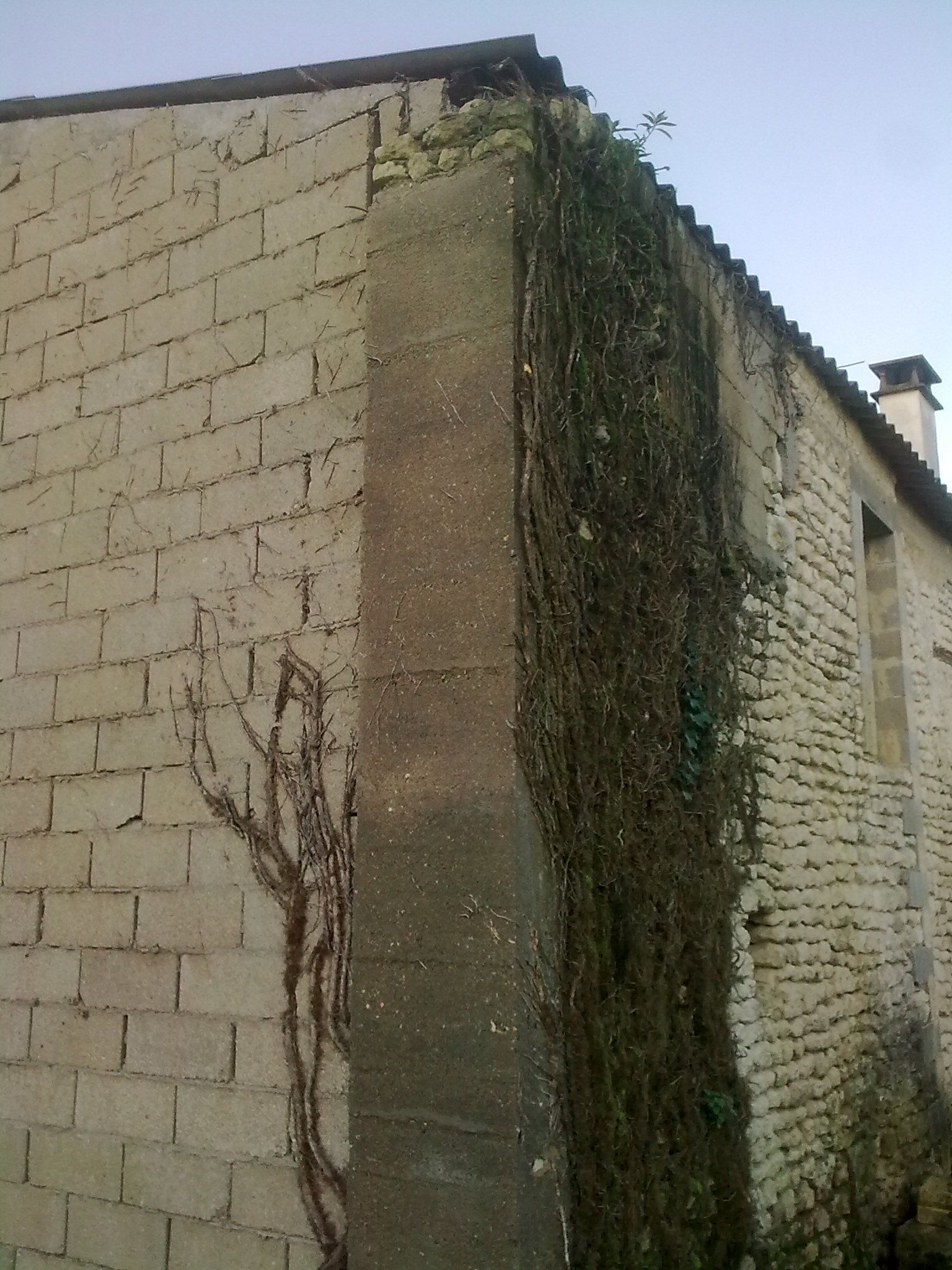 arrière bâtisse avant travaux