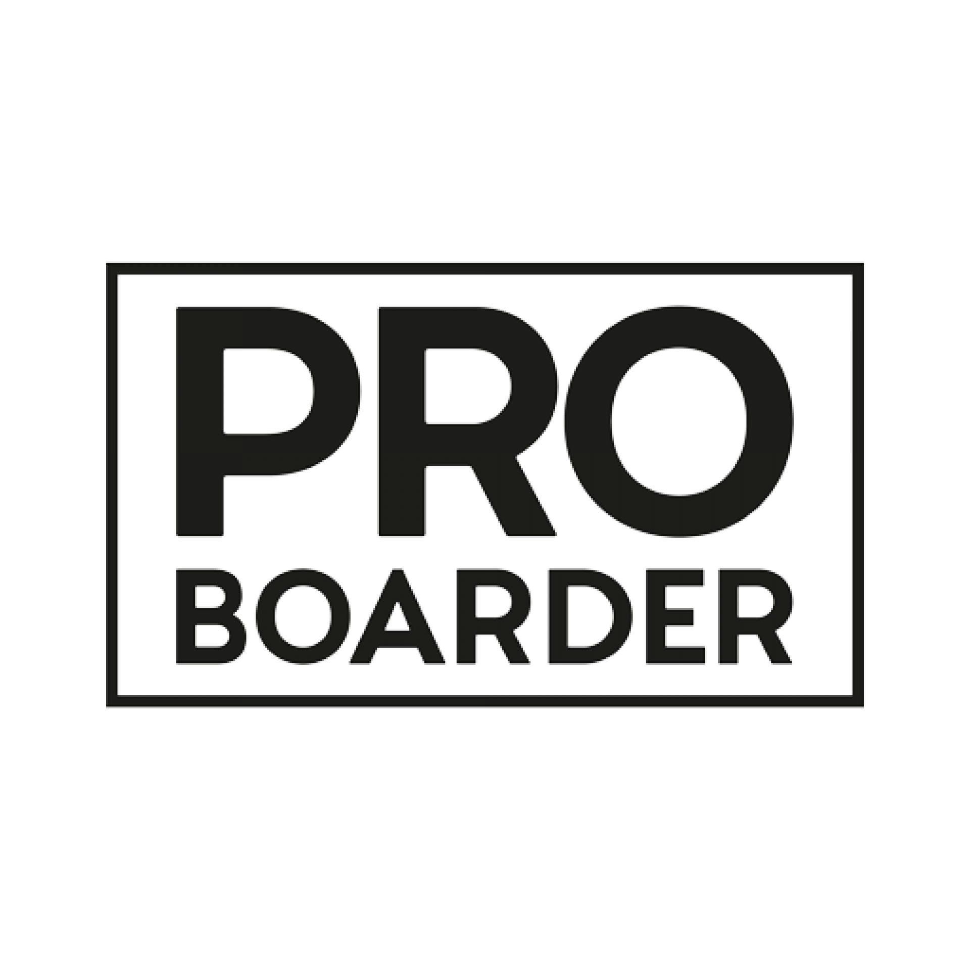 Pro Boarder Reschensee Reschenpass Kite Surf Schule