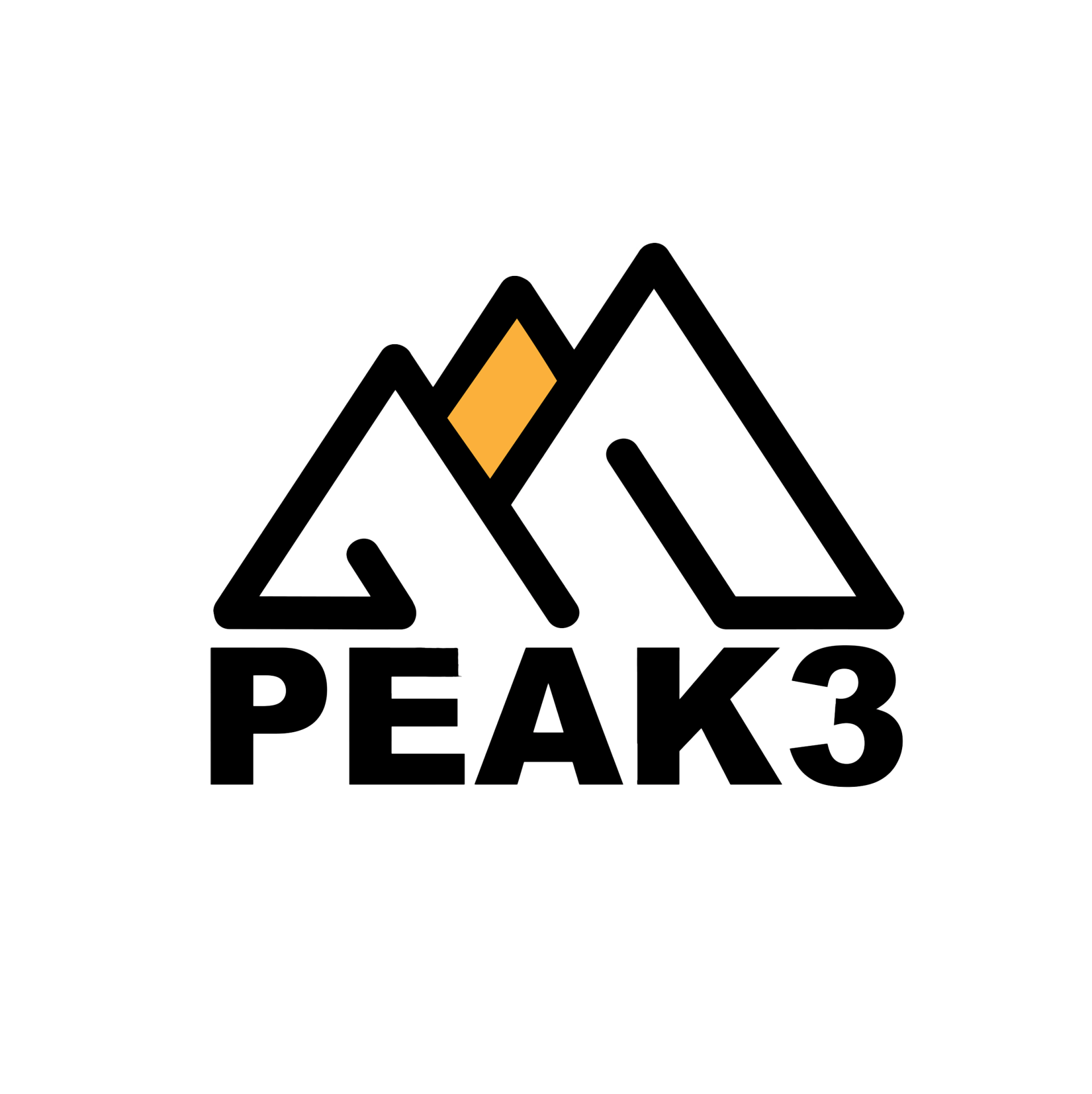 Peak 3 Logo Peak 3 Guide Coach Perfrom