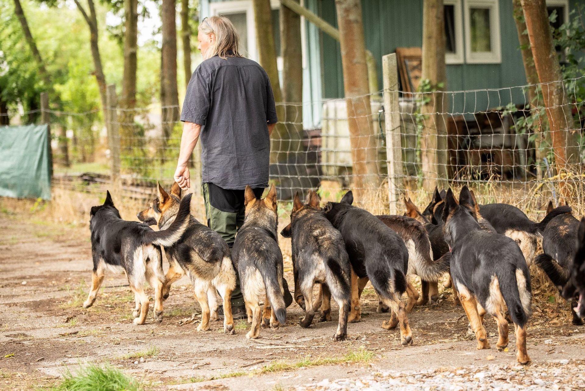 Züchter der Schäferhunde vom Altenburger Land mit Ostlinien