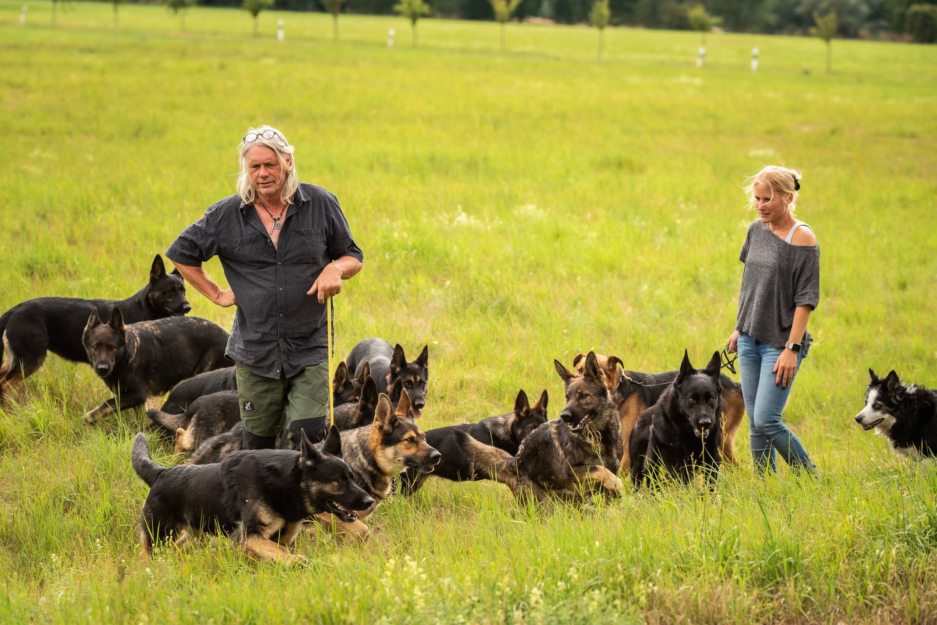 Mit Schäferhunden aus DDR-Blut auf Wanderung