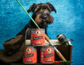 Hundecenter Jessat Stadtwolf