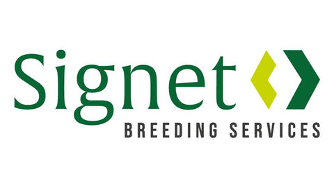 Innovative sheep breading performance recording of performance lleyns and prolleyNZ