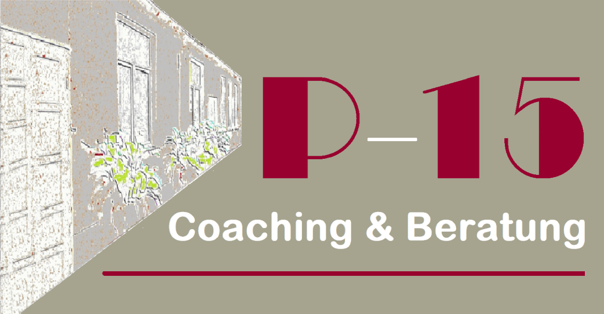 Logo P15 Hinterhaus